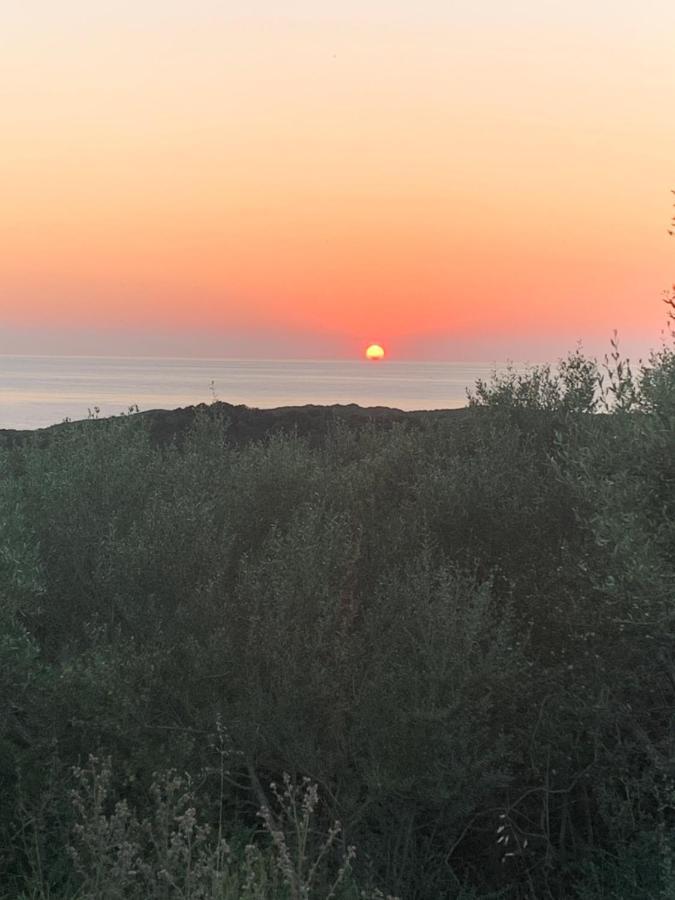 Stazzu Nuraghe Mannucciu Pension Rena Majore Buitenkant foto