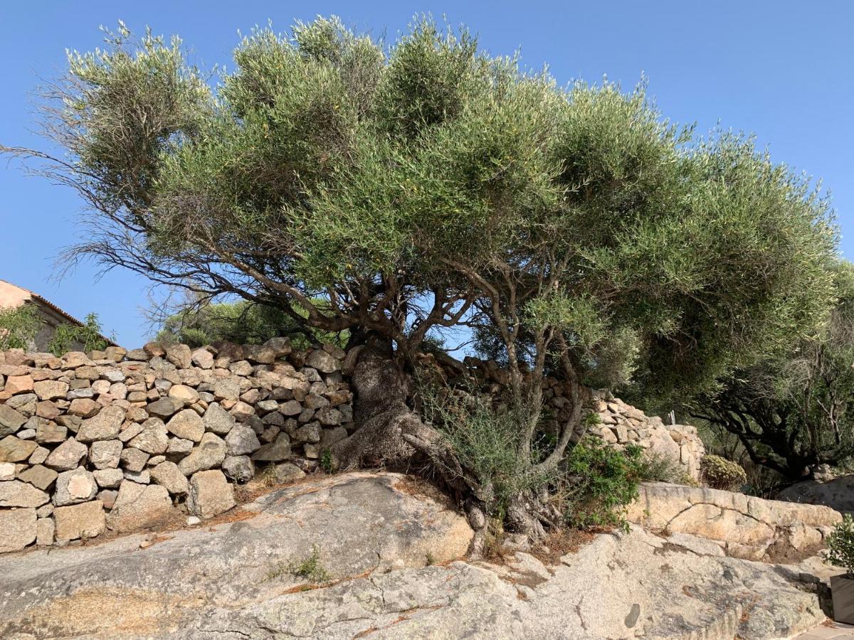 Stazzu Nuraghe Mannucciu Pension Rena Majore Buitenkant foto